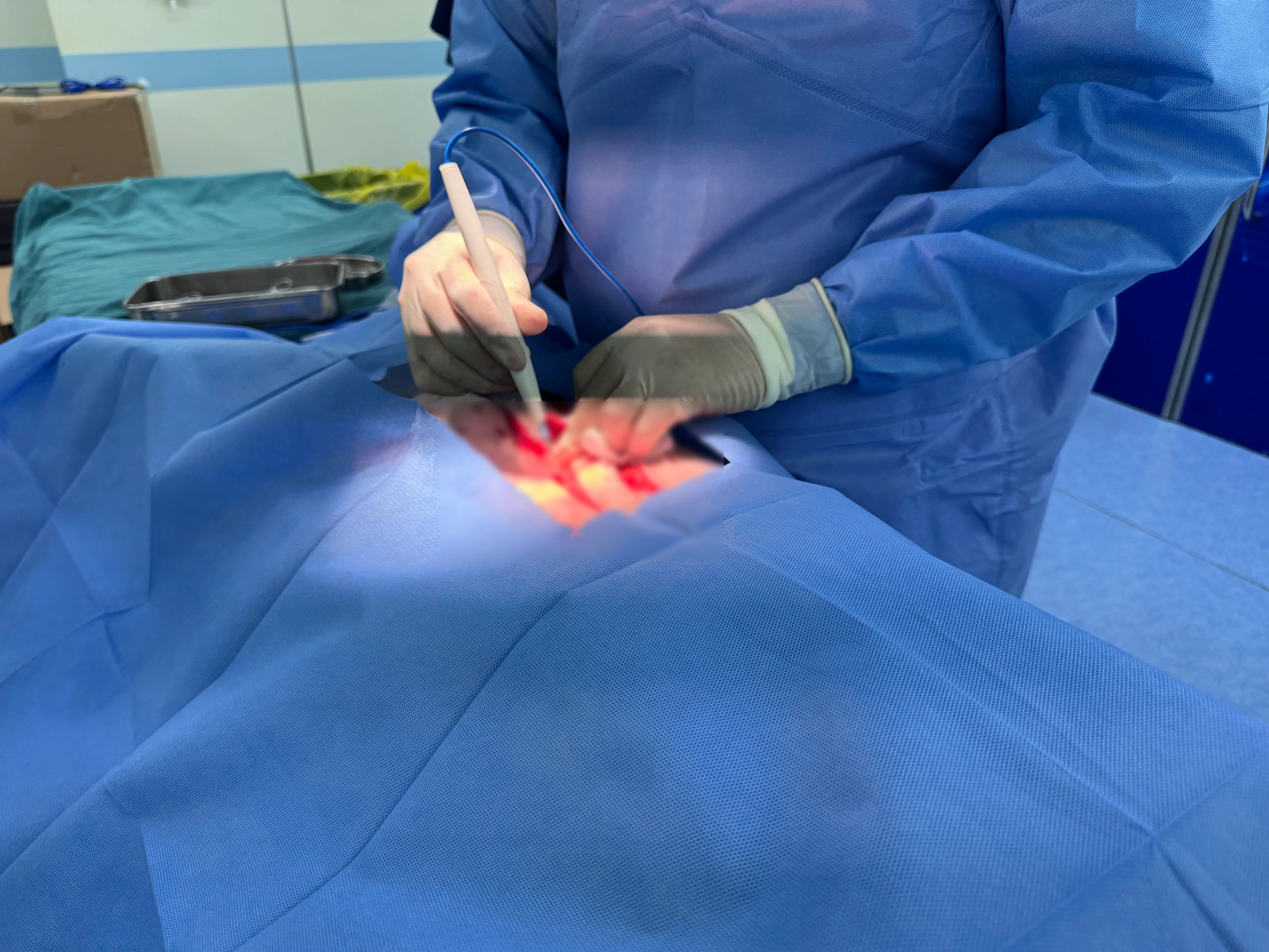 Veterinary tumor surgery and ablation procedure