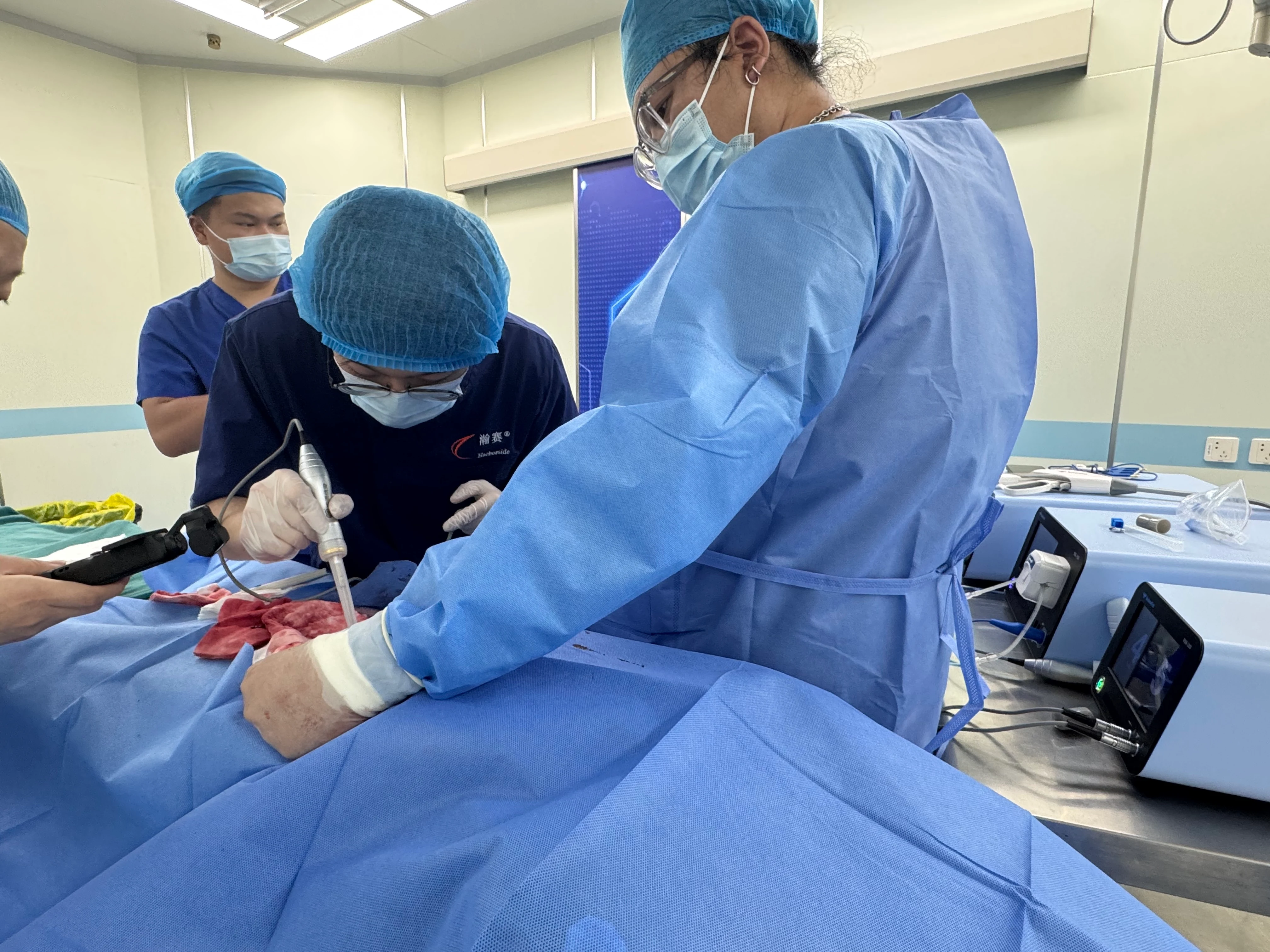 Veterinary clinician using an ultrasonic surgery system