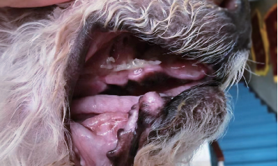 14 Days After Ablation