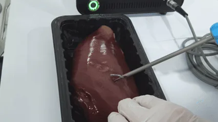 UG-100 instrument use during a veterinary workflow