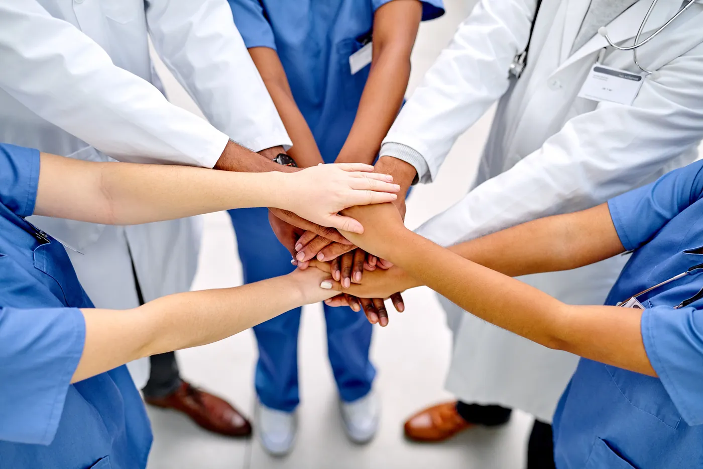Veterinary medical team collaborating